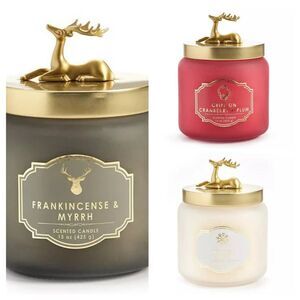 NWOT Set of 3 15 Oz Christmas Scented Reindeer Lid Frosted Glass Candles